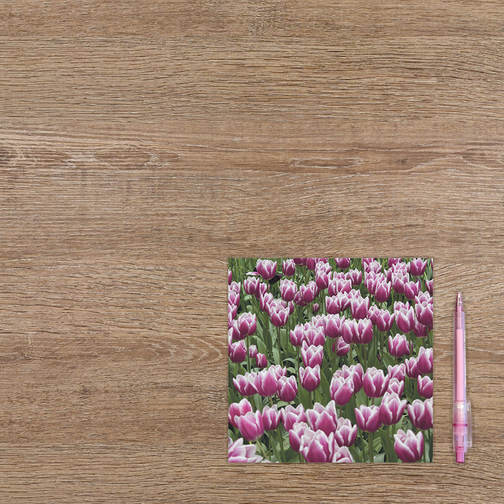 Paarse tulpen