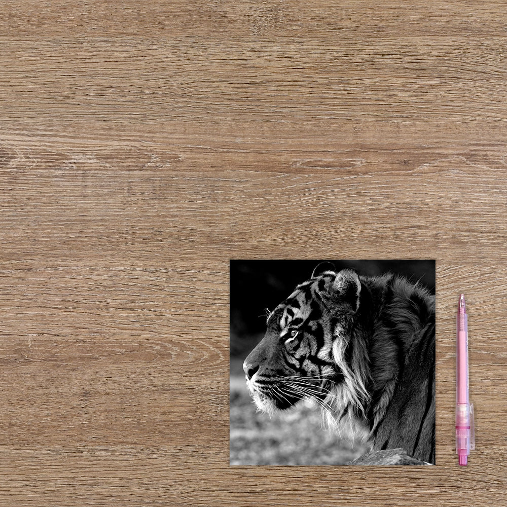 Tijger