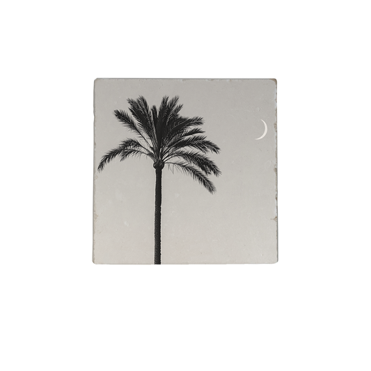 Palmboom