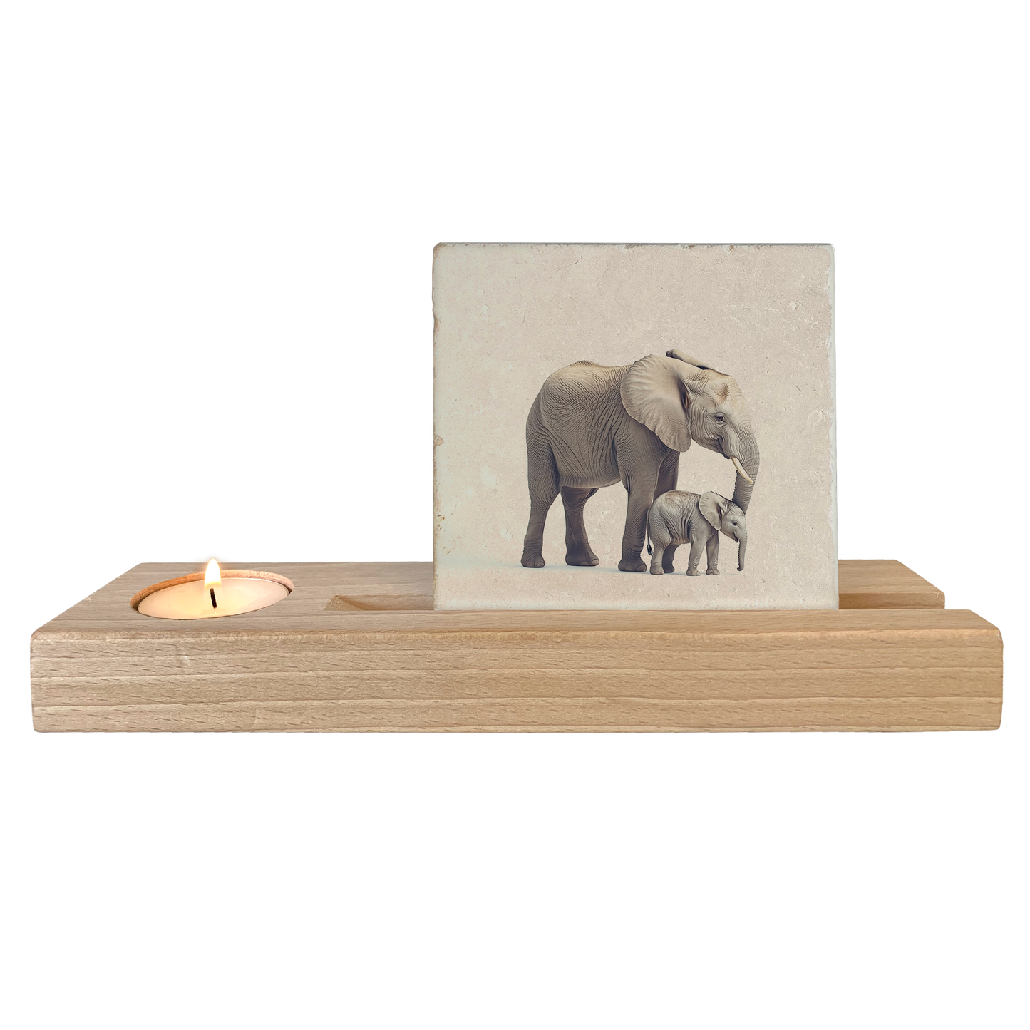 Olifant met baby