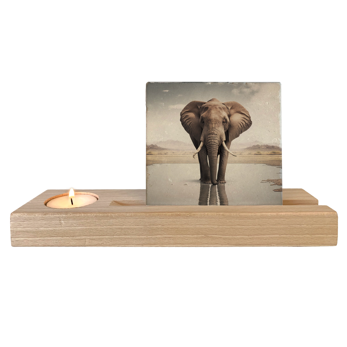 Olifant met baby