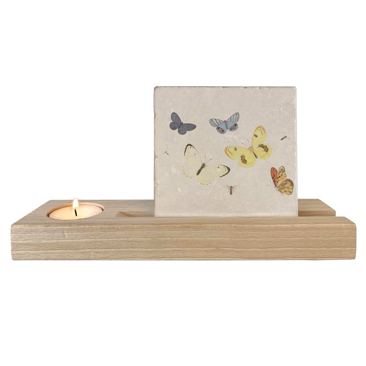 Vlinders en insecten