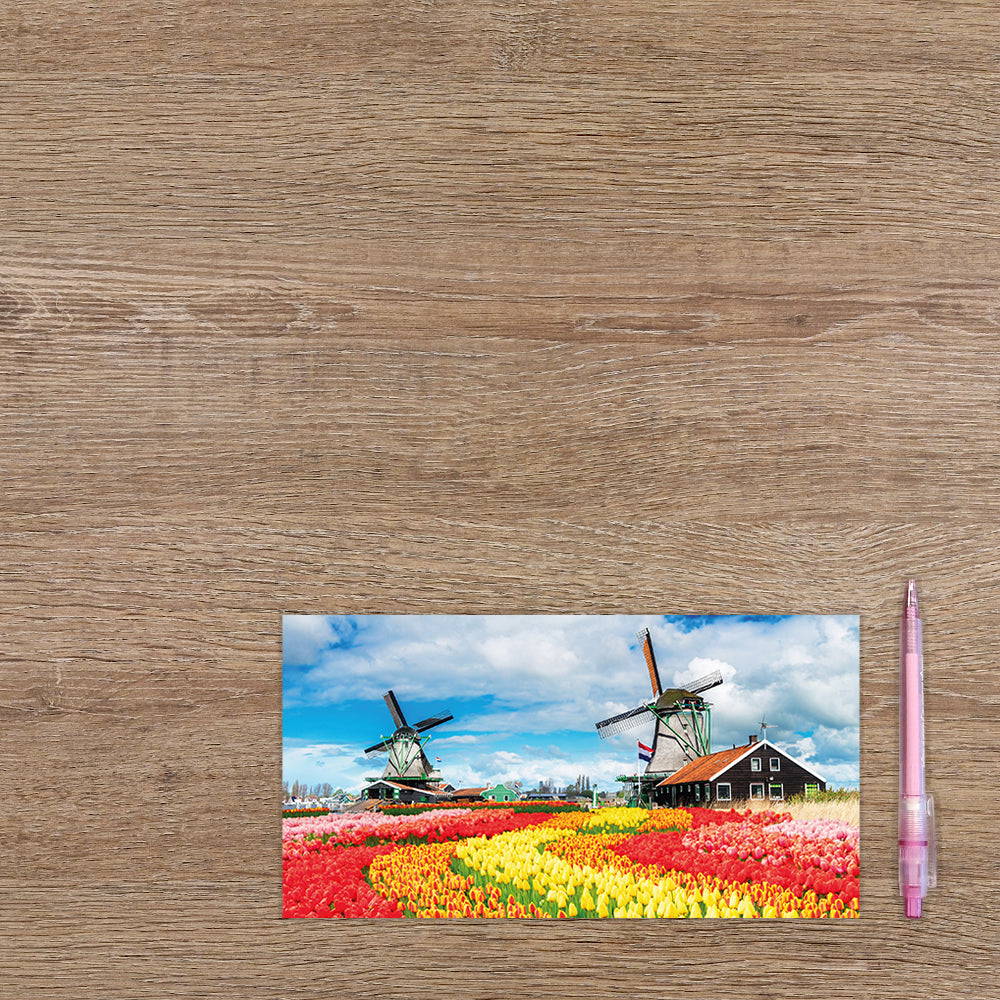 Tulpenveld