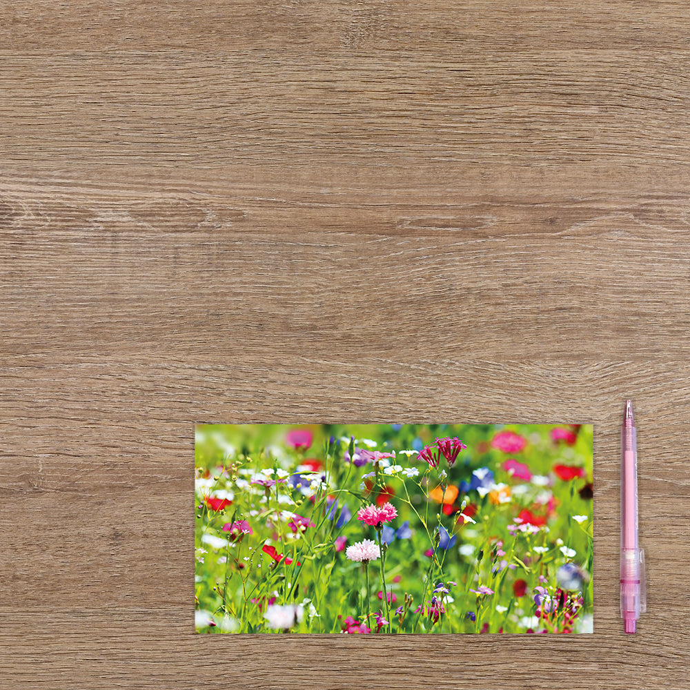 Bloemenveld