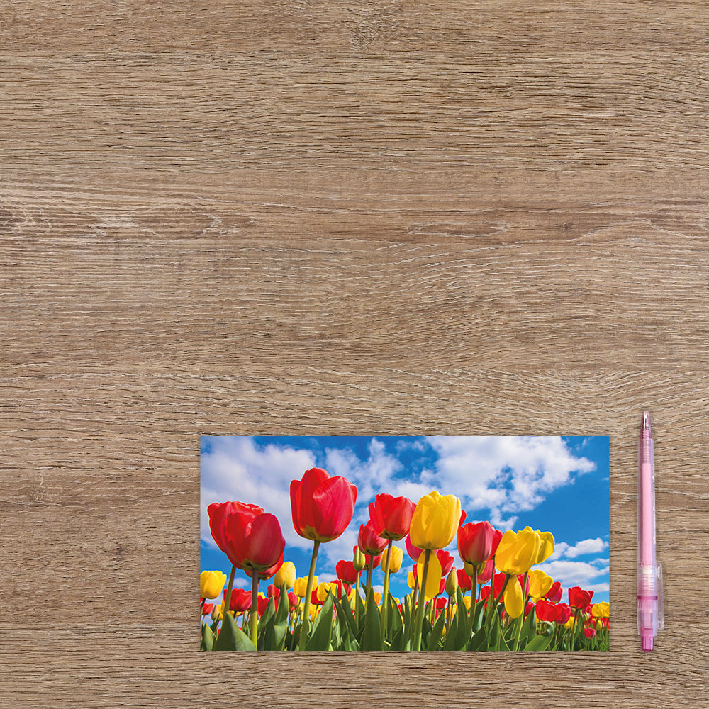 Tulpenveld