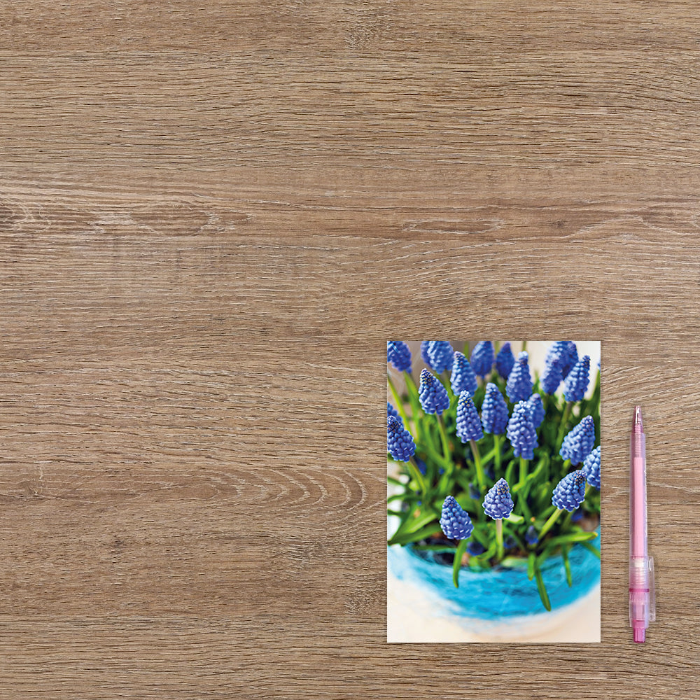 Bloemen