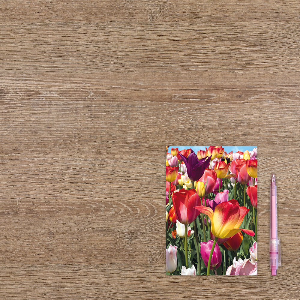 Tulpenveld