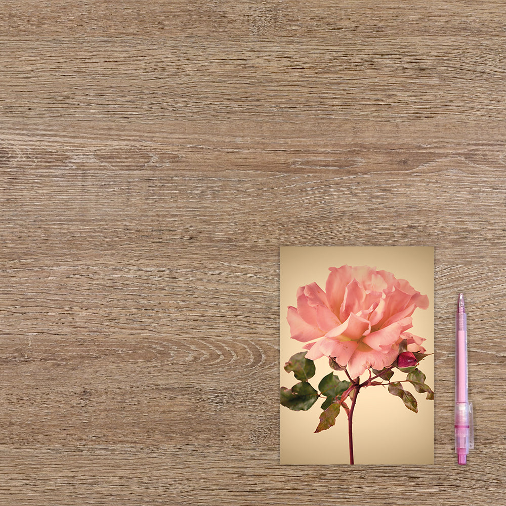 Roze bloem