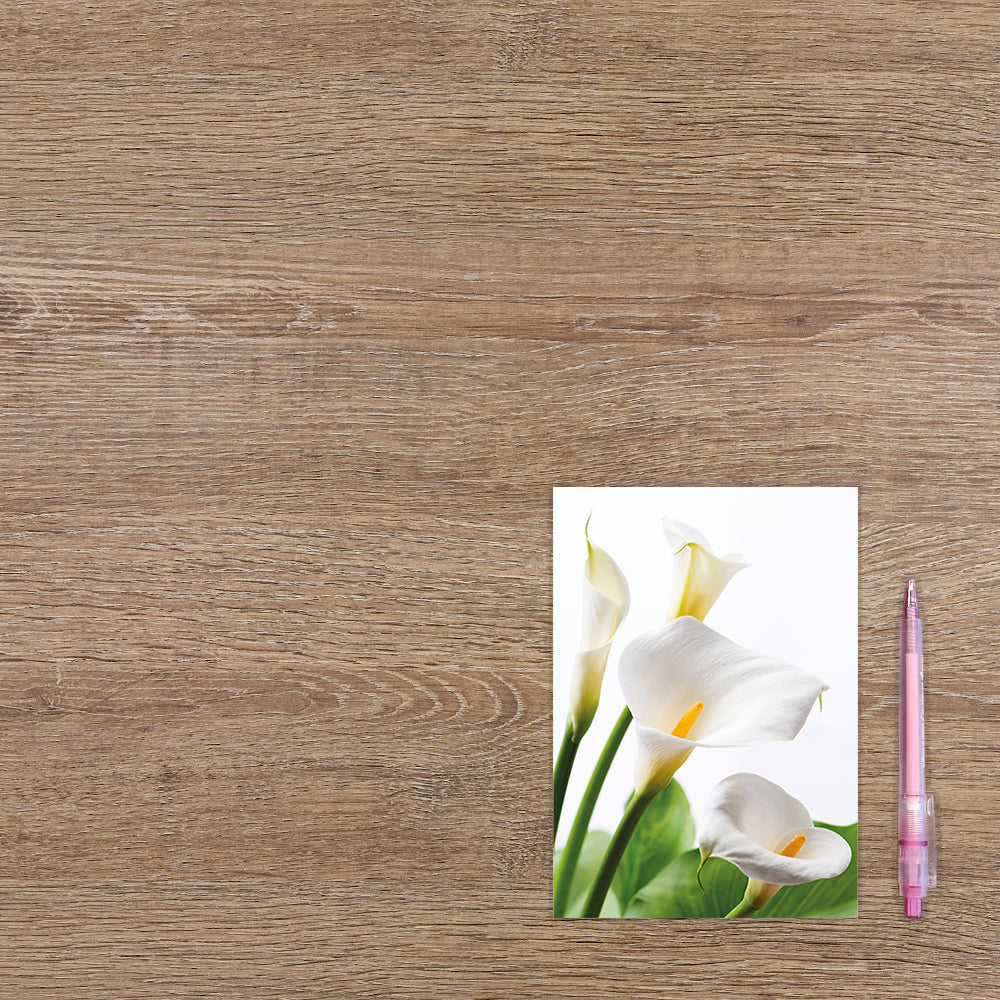 Witte bloemen