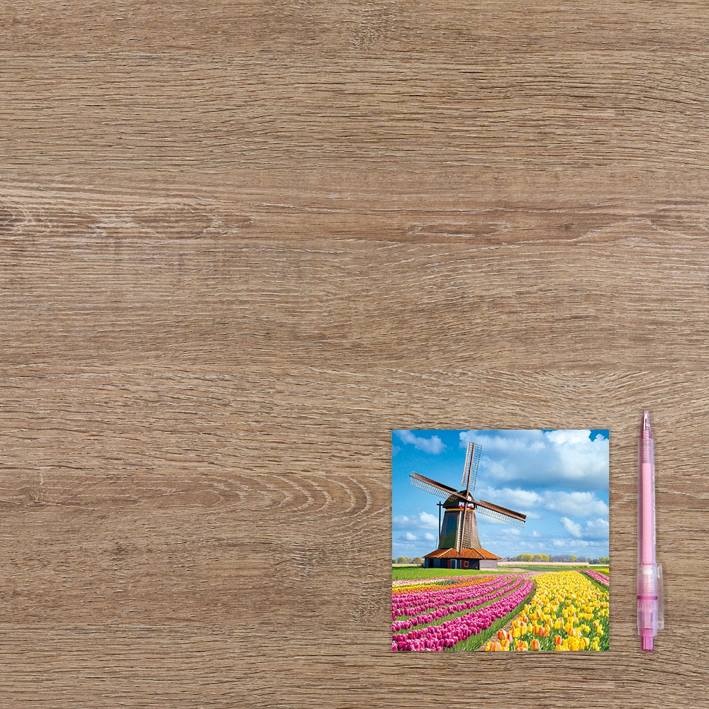 Tulpenveld met molen