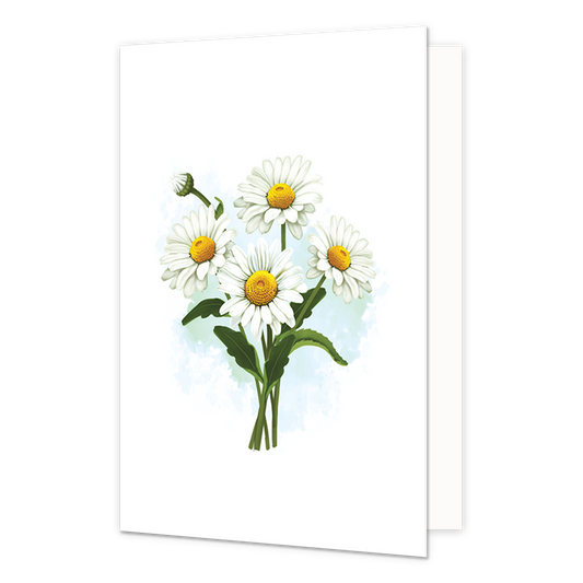 Witte Margrietjes