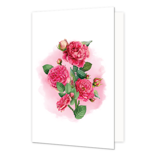 Roze Rozen