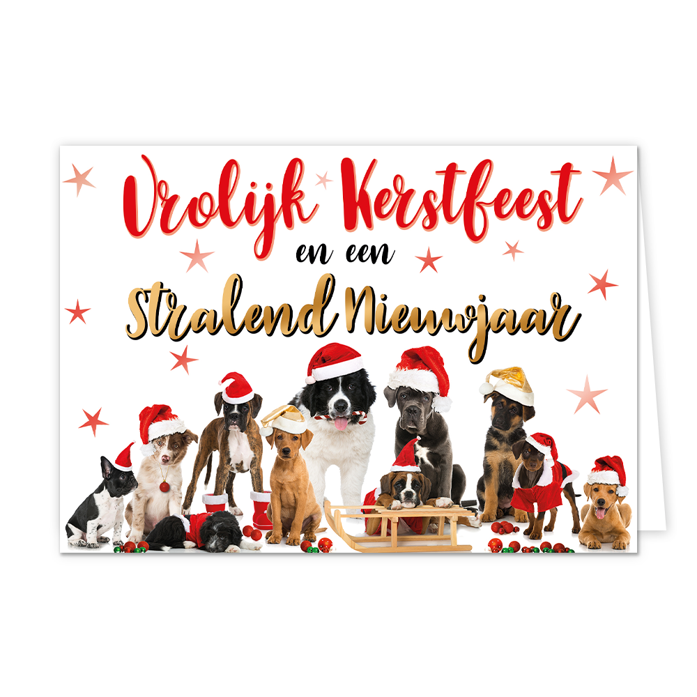 Vrolijk kerstfeest en een stralend nieuwjaar - 8 stuks