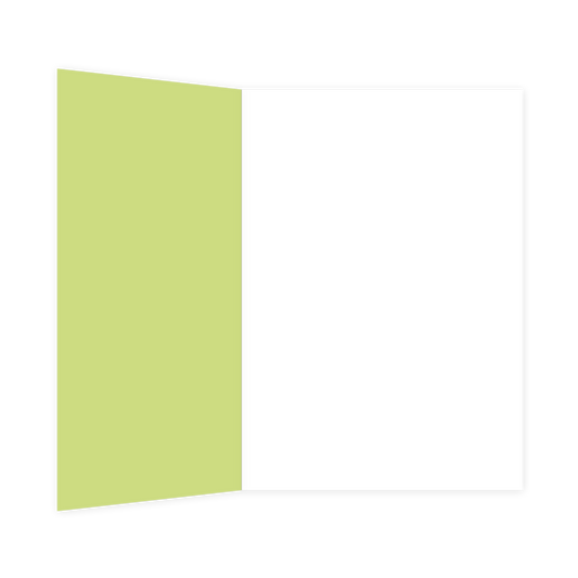 Say yes to new adventures