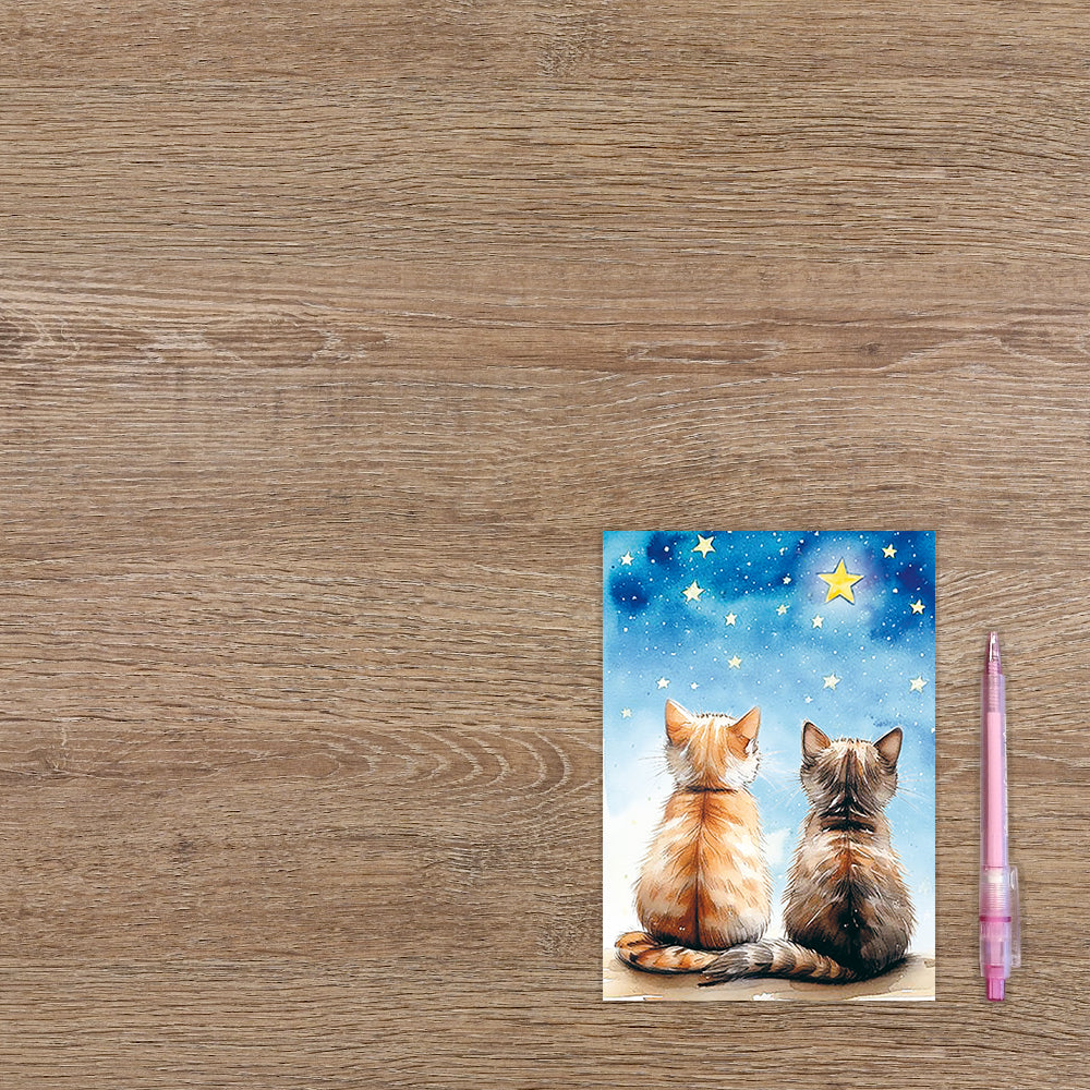 Poezen katten en sterren