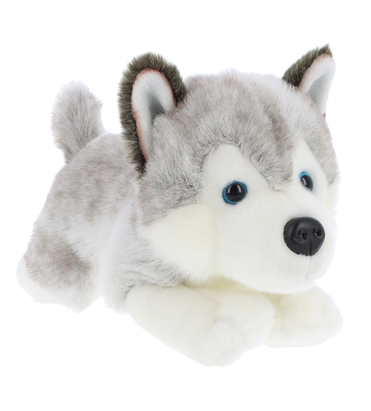 Knuffel puppy husky
