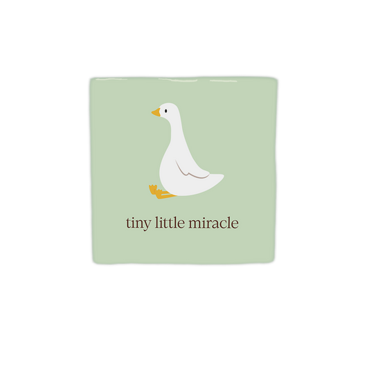 Tiny little miracle