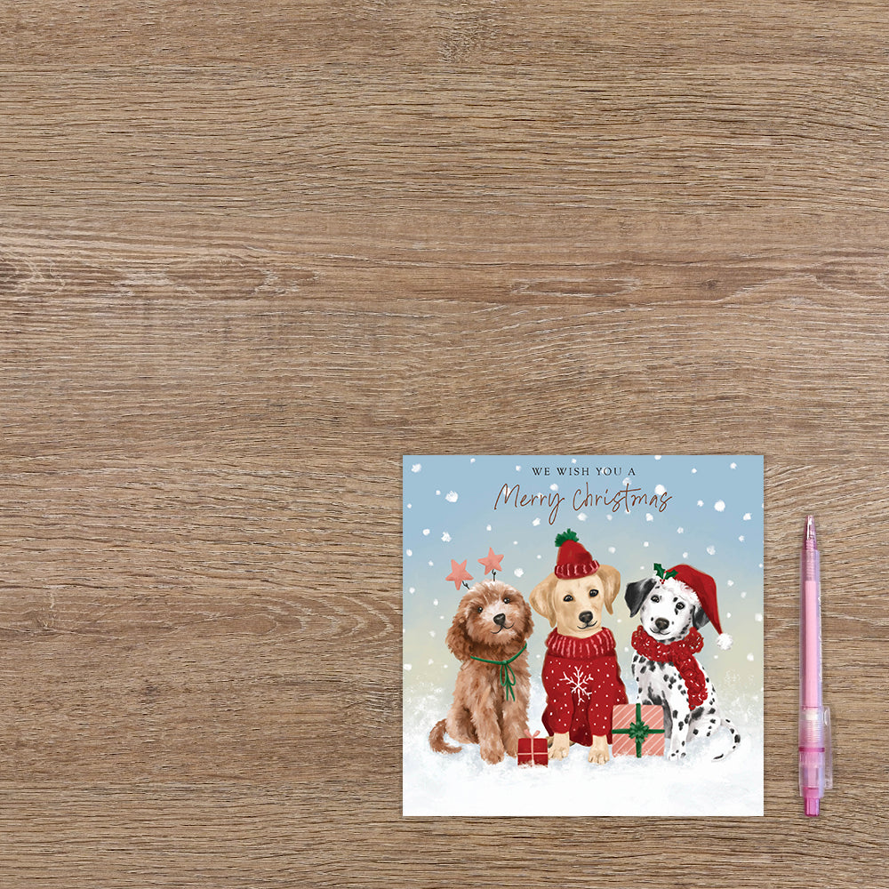 We wish you a merry christmas