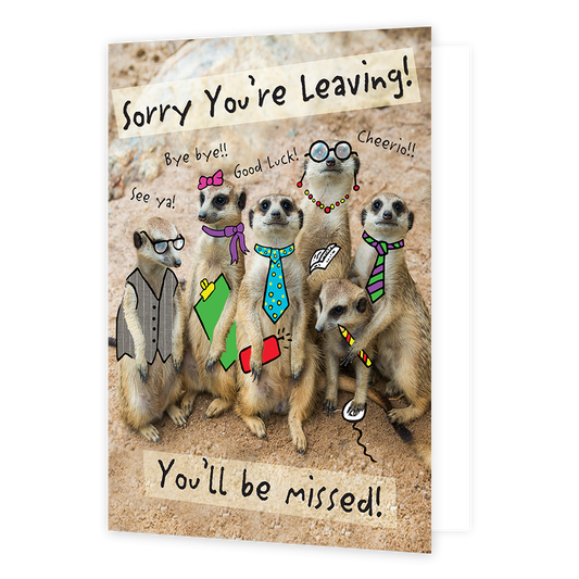 Sorry you're leaving! You'll be missed! - Formaat: Groot - Vorm: Staand - Afscheidskaart - Op deze wenskaart staan zes stokstaartjes verschierd met accessoires. Om de stokstaartjes heen staat in het zwart de tekst 'Sorry you're leaving you'll be missed!'. - Snelwenskaart