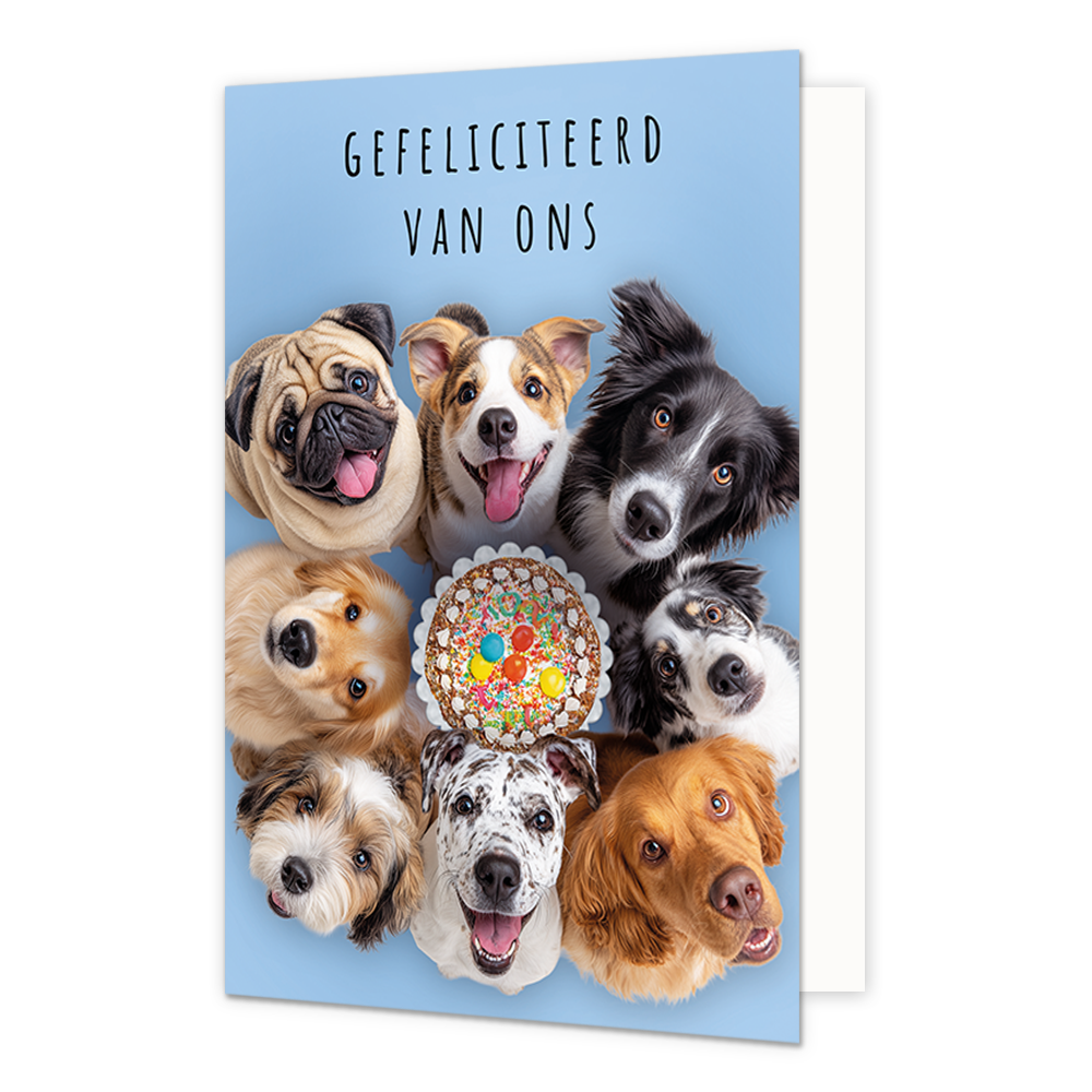 Op deze wenskaart staan acht honden om een taart. De honden kijken naar boven. Boven de honden staat in het zwart de tekst 'Gefeliciteerd van ons'.
