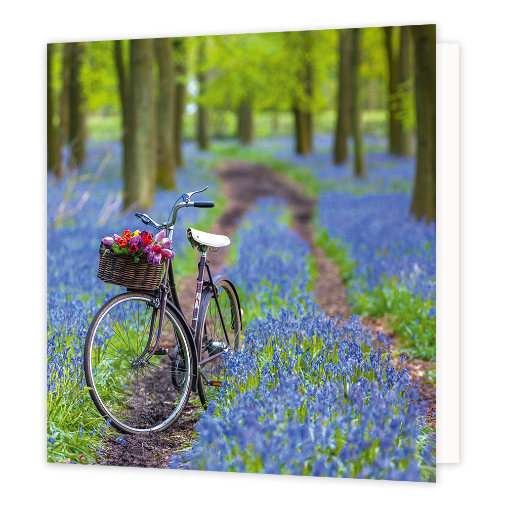 Fiets - Formaat: Groot - Vorm: Vierkant - Blanco kaart - Op deze wenskaart staat een foto van een fiets die in het bos staat tussen blauwe bloemen. - Snelwenskaart