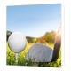 Golf - Formaat: Groot - Vorm: Vierkant - Blanco kaart - Op deze wenskaart staat foto van een golfclub en een golfbal in het gras. - Snelwenskaart