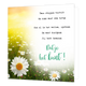 Twee stappen vooruit - Formaat: Standaard - Vorm: Vierkant - Complimentenkaart - Op deze wenskaart staat een bloemenveld met madeliefjes. In de illustratie staat de tekst: "Twee stappen vooruit en soms weer één terug. Ook al is het vallen, opstaan en weer doorgaan, jij hebt bewezen dat je het kunt!" - Snelwenskaart
