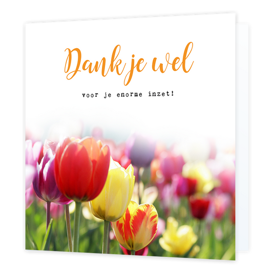 Dankjewel voor je enorme inzet - Formaat: Normaal - Vorm: Vierkant - Bedankkaart - Op deze wenskaart staat een tulpenveld met daarboven de tekst: "Dank je wel voor je enorme inzet!". - Snelwenskaart