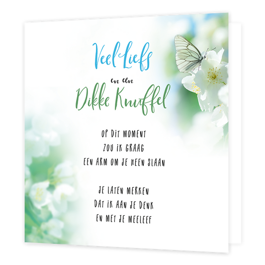 Veel liefs - Formaat: Normaal - Vorm: Vierkant - Denken aan kaart - Op deze wenskaart staan witte bloemen en een vlinder met de tekst: "Veel liefs en een dikke knuffel. Opdit moment zou ik graag een arm om je heen slaan, je laten merken dat ik aan je denk en met je meeleef". - Snelwenskaart