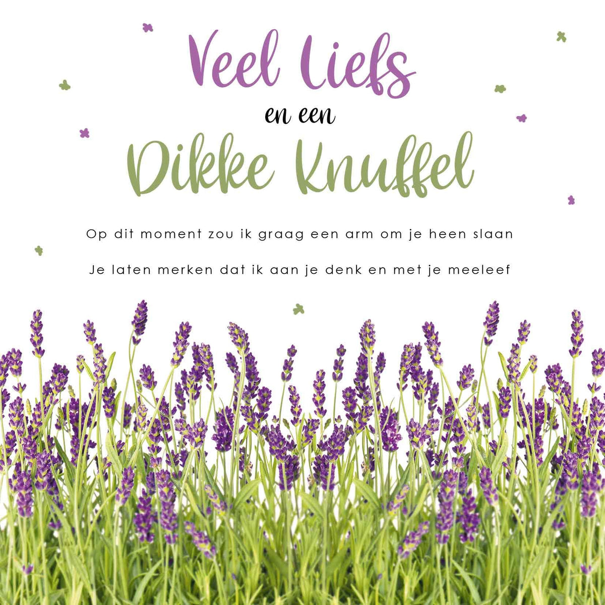 Veel liefs en een dikke knuffel - Formaat: Standaard - Vorm: Vierkant - Denken aan kaart - Op deze wenskaart staat een lavendelveld met daarboven de tekst: "Veel liefs en een dikke knuffel. Op dit moment zou ik graag een arm om je heen slaan, je laten merken dat ik aan je denk en met je meeleef". - Snelwenskaart