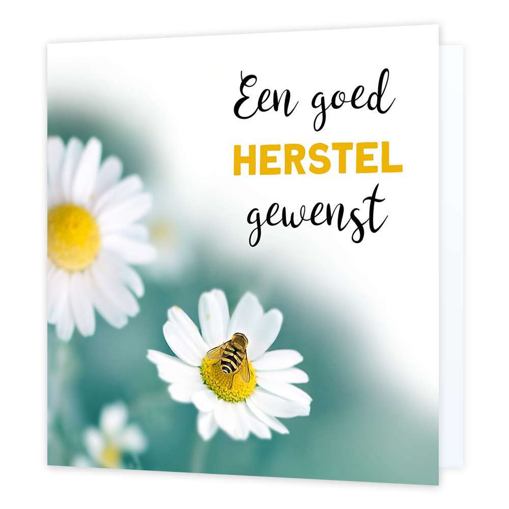 Een goed herstel gewenst - Formaat: Normaal - Vorm: Vierkant - Beterschapskaart - Op deze wenskaart staan witte bloemen en een bij, met daarnaast de tekst: "Een goed herstel gewenst". - Snelwenskaart