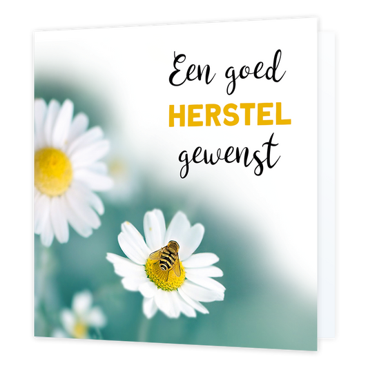 Een goed herstel gewenst - Formaat: Normaal - Vorm: Vierkant - Beterschapskaart - Op deze wenskaart staan witte bloemen en een bij, met daarnaast de tekst: "Een goed herstel gewenst". - Snelwenskaart