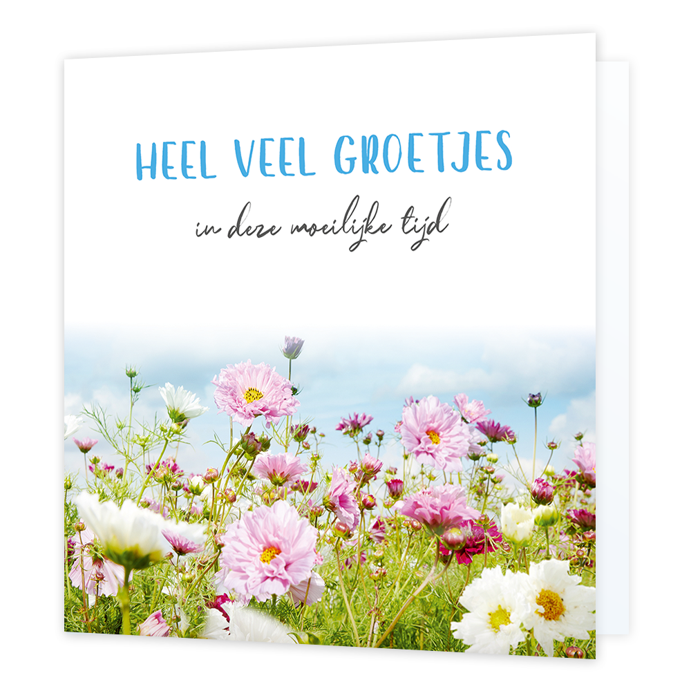 Heel veel groetjes - Formaat: Standaard - Vorm: Vierkant - Denken aan kaart - Op deze wenskaart staat een bloemenveld met daarboven de tekst: "Heel veel groetjes in deze moeilijke tijd". - Snelwenskaart