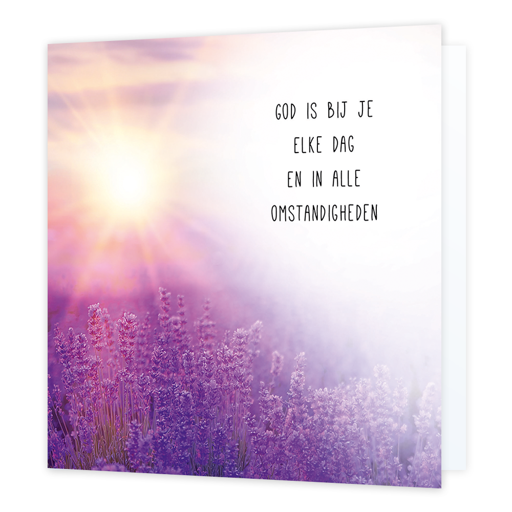 God is bij je elke dag - Formaat: Normaal - Vorm: Vierkant - Denken aan kaart - Op deze wenskaart staat een veld met lavendel waar de zon over schijnt. In de illustratie staat de tekst: "God is bij je elke dag en in alle omstandigheden". - Snelwenskaart