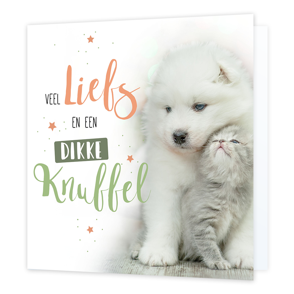 Veel liefs en een dikke knuffel - Formaat: Normaal - Vorm: Vierkant - Vriendschapskaart - Op deze wenskaart staat een hond en een kat met daarnaast de tekst: "Veel liefs en een dikke knuffel". - Snelwenskaart