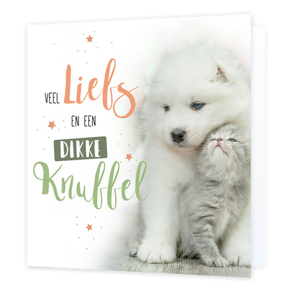 Veel liefs en een dikke knuffel - Formaat: Normaal - Vorm: Vierkant - Vriendschapskaart - Op deze wenskaart staat een hond en een kat met daarnaast de tekst: "Veel liefs en een dikke knuffel". - Snelwenskaart