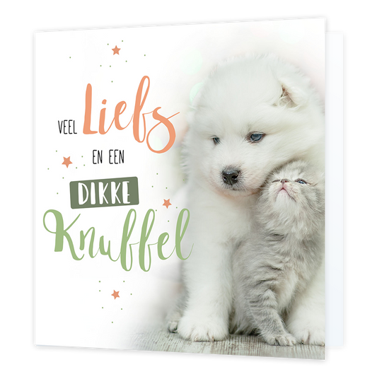 Veel liefs en een dikke knuffel - Formaat: Normaal - Vorm: Vierkant - Vriendschapskaart - Op deze wenskaart staat een hond en een kat met daarnaast de tekst: "Veel liefs en een dikke knuffel". - Snelwenskaart
