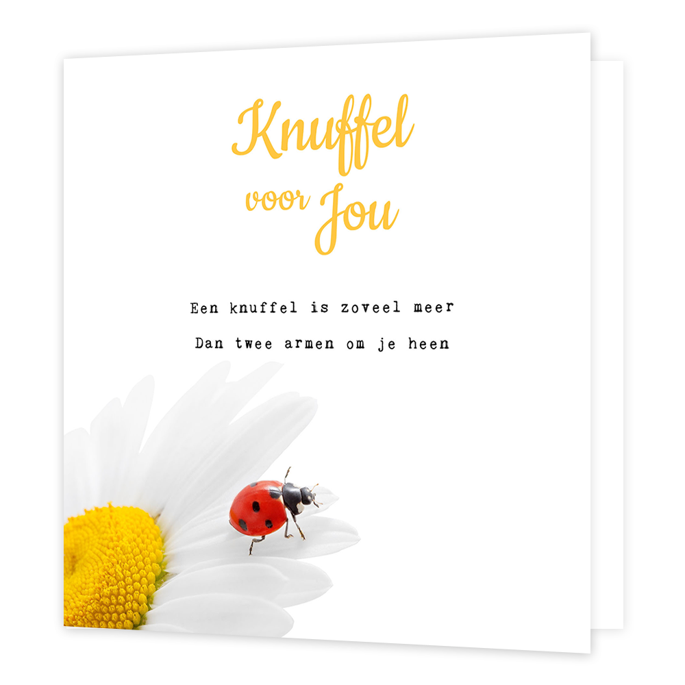 Knuffel voor jou - Formaat: Normaal - Vorm: Vierkant - Vriendschapskaart - Op deze wenskaart staat een lieveheersbeestje op een witte bloem met daarboven de tekst: "Knuffel voor jou. Een knuffel is zoveel meer dan twee armen om je heen". - Snelwenskaart