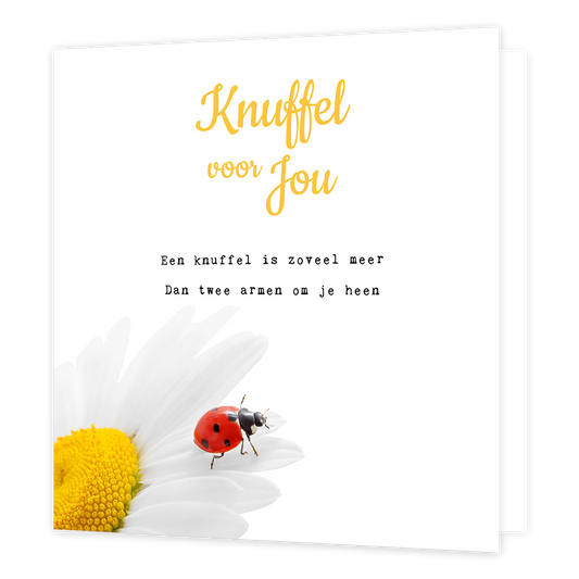 Knuffel voor jou - Formaat: Normaal - Vorm: Vierkant - Vriendschapskaart - Op deze wenskaart staat een lieveheersbeestje op een witte bloem met daarboven de tekst: "Knuffel voor jou. Een knuffel is zoveel meer dan twee armen om je heen". - Snelwenskaart