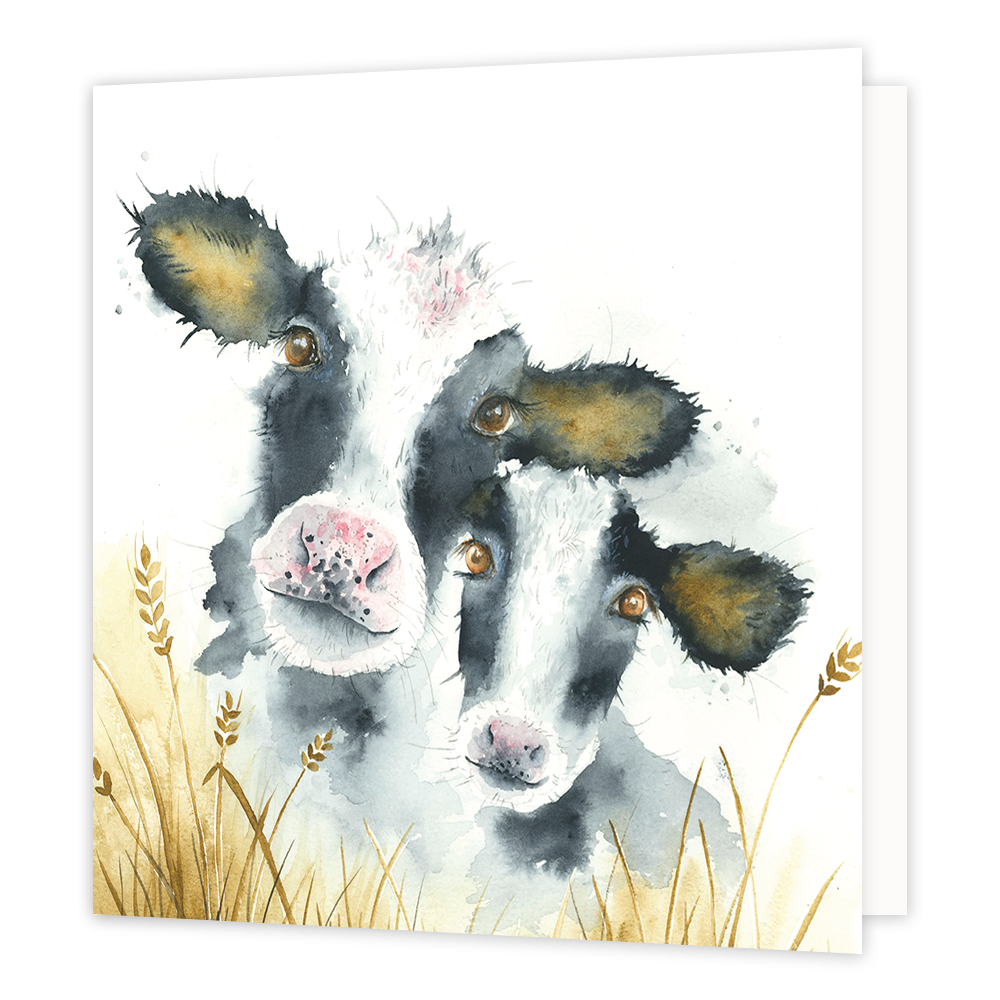 Koeien - Formaat: Normaal - Vorm: Vierkant - Blanco kaart - Op deze wenskaart staan twee koeien die boven het gras uitkijken. - Snelwenskaart