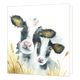 Koeien - Formaat: Standaard - Vorm: Vierkant - Blanco kaart - Op deze wenskaart staan twee koeien die boven het gras uitkijken. - Snelwenskaart