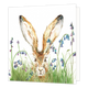 Konijn - Formaat: Standaard - Vorm: Vierkant - Blanco kaart - Op deze wenskaart staat een konijn dat door de bloemen en het gras heen kijkt. - Snelwenskaart