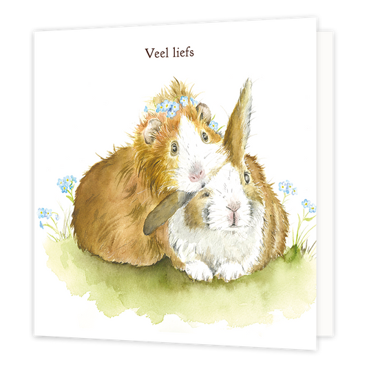 Veel liefs - Formaat: Normaal - Vorm: Vierkant - Vriendschapskaart - Op deze wenskaart staat een cavia en een konijn met daarboven de tekst: "Veel liefs". - Snelwenskaart
