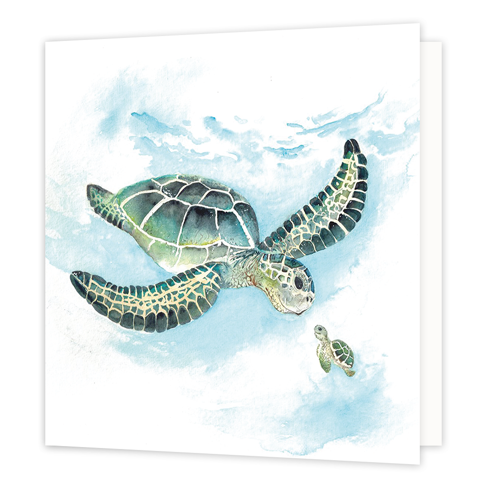Schildpadden - Formaat: Standaard - Vorm: Vierkant - Blanco kaart - Op deze wenskaart staat een grote en een kleine schildpad die elkaar aankijken. - Snelwenskaart