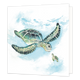Schildpadden - Formaat: Standaard - Vorm: Vierkant - Blanco kaart - Op deze wenskaart staat een grote en een kleine schildpad die elkaar aankijken. - Snelwenskaart