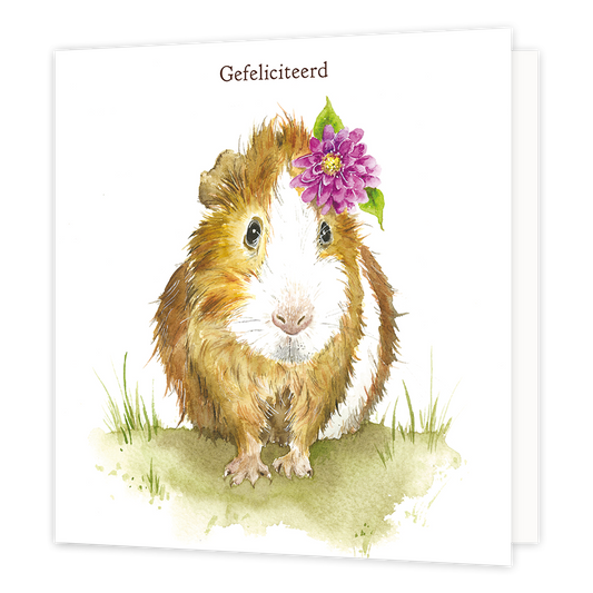 Gefeliciteerd - Formaat: Normaal - Vorm: Vierkant - Felicitatiekaart - Op deze wenskaart staat een cavia met daarboven de tekst: "Gefeliciteerd". - Snelwenskaart