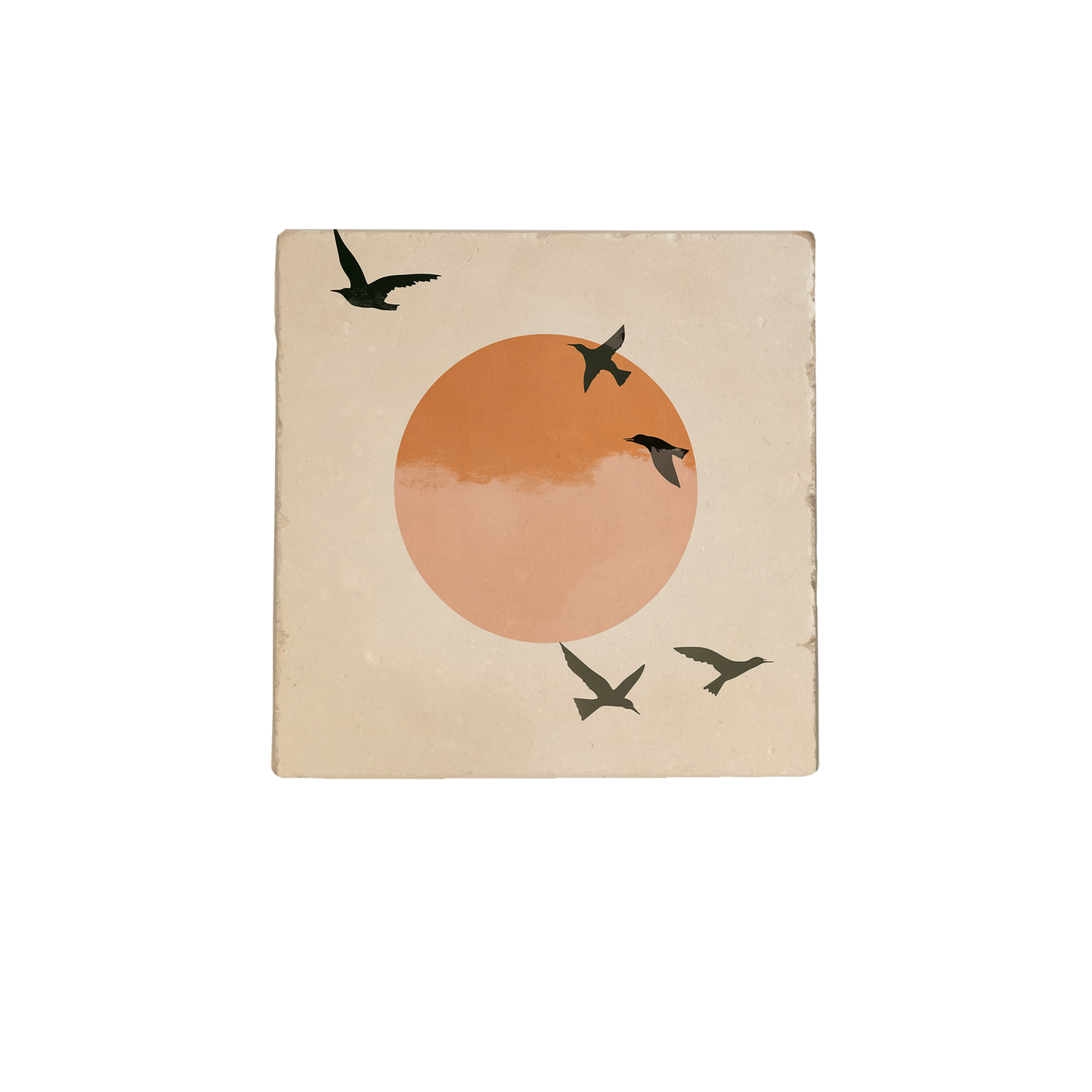 Zwarte vogels