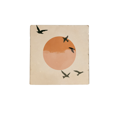 Zwarte vogels