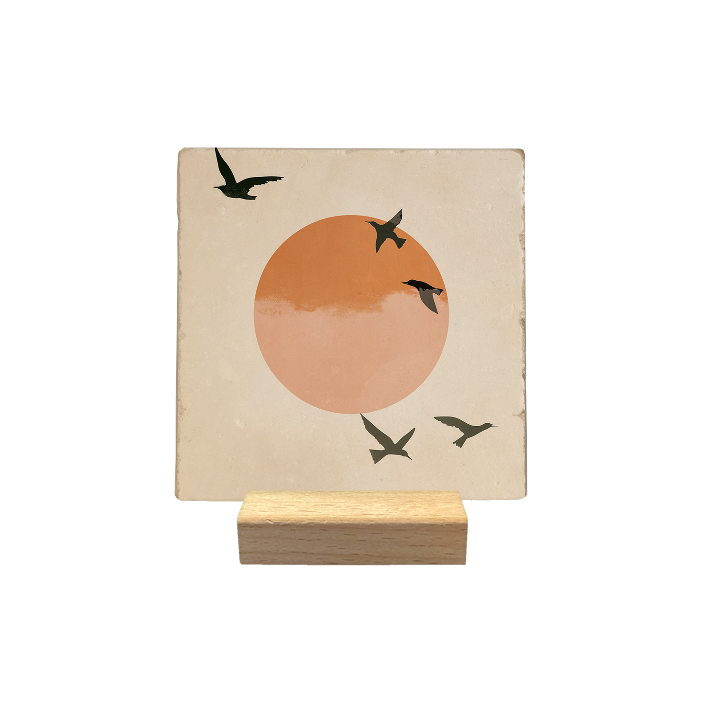 Zwarte vogels