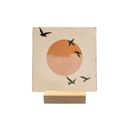 Zwarte vogels